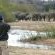 Savanna Private Game Reserve - 171397