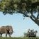 Savanna Private Game Reserve - 171407