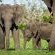 Savanna Private Game Reserve - 171408