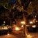 Savanna Private Game Reserve - 171409
