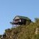 Eagle Falls Country Lodge & Adventures - 171420