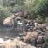 Eagle Falls Country Lodge & Adventures - 171446