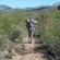 Eagle Falls Country Lodge & Adventures - 171448