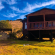 Yarona Guest Farms - 171497