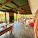 The Hedge at Dullstroom Cottage - 171688