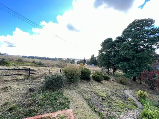 The Hedge at Dullstroom Cottage - 171689