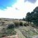 The Hedge at Dullstroom Cottage - 171689