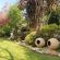 Sunrise Serenity Guest House - 171769