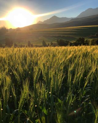 Kromrivier Farm - 172052