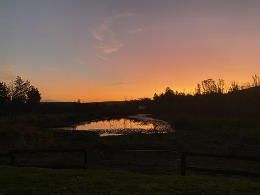Kromrivier Farm - 172055
