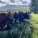 Kromrivier Farm - 172068