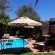 Garden / Swimmingpool