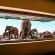 Rhulani Safari Lodge - 172601