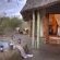 Rhulani Safari Lodge - 172618