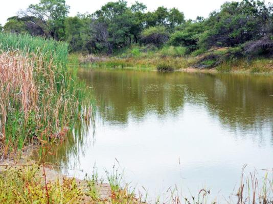 Naledi@53 Private Game Farm - 172720