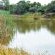 Naledi@53 Private Game Farm - 172720