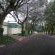 Rosebank Lodge by Claires - 172729