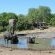 Tangala Safari Camp - 173185