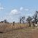 Nyani Lodge - 173472