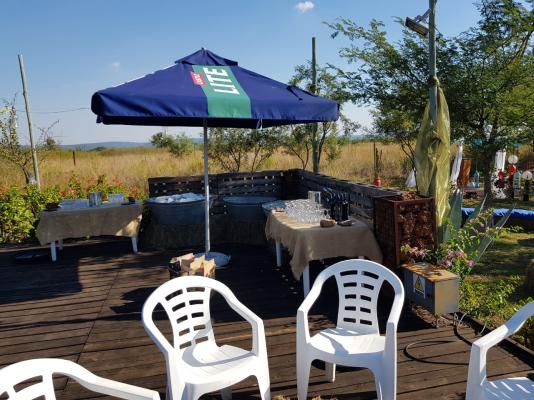Nyani Lodge - 173484