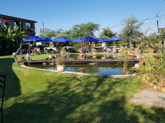 Nyani Lodge - 173486