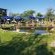 Nyani Lodge - 173486