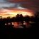 Nyani Lodge - 173525