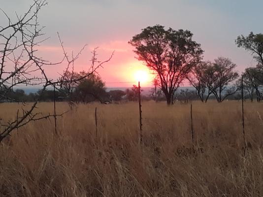 Nyani Lodge - 173533
