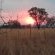 Nyani Lodge - 173533