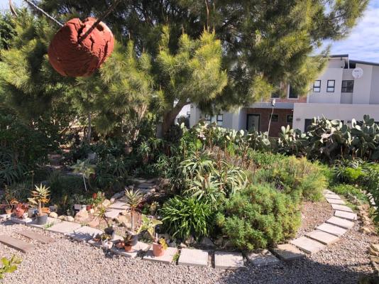 Wild Aloe Accommodation - 173718