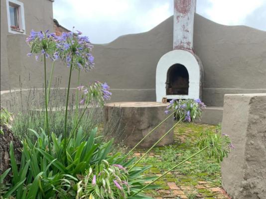 Rondebossie Farm Retreat - 173722