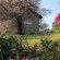 Rondebossie Farm Retreat - 173723