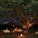 Falaza Game Park - 173767