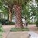 Onze Rust Guest House - 173837