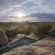 Hoada Campsite - 173930