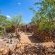 Hoada Campsite - 173931