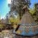 Magical Teepee Experience (The) - 174273