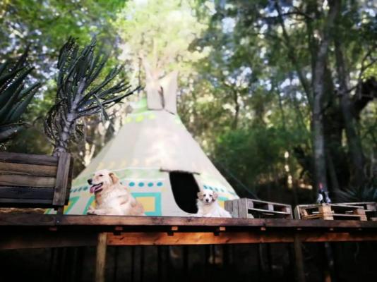 Magical Teepee Experience (The) - 174277