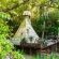 Magical Teepee Experience (The) - 174283
