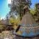 Magical Teepee Experience (The) - 174295