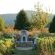 Trengwainton - 174304