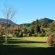 Trengwainton - 174309