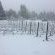 Windrush on Hogsback - 174337