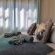 Eden Chalets - 174466