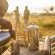 Leopard Mountain Safari Lodge - 174484