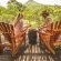 Leopard Mountain Safari Lodge - 174518