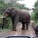 Leopard Mountain Safari Lodge - 174529
