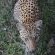 Makakatana Bay Lodge - 174562