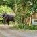 Makakatana Bay Lodge - 174577