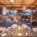 Makakatana Bay Lodge - 174579